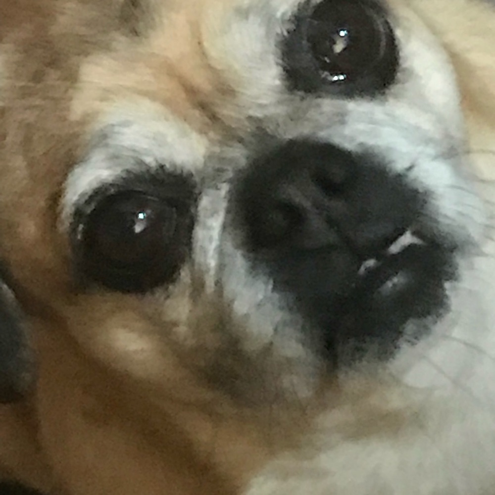 Meet your Posher, Alex